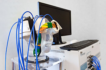 Den elektroniska hjälmen som just nu testas på strokepatienter på SÄS och SU. Foto: Pernilla Lundgren, SÄS.